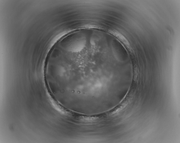X0000112011039200908031303