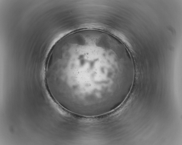 X0000112011040200908031303
