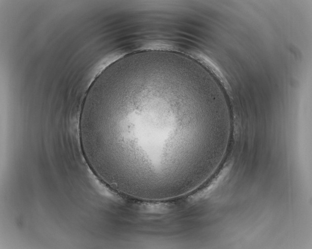 X0000112011041200908031303