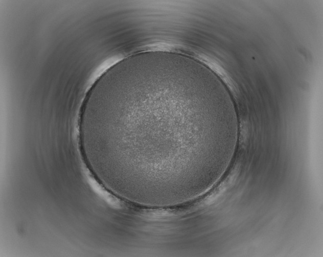 X0000112011042200908031303