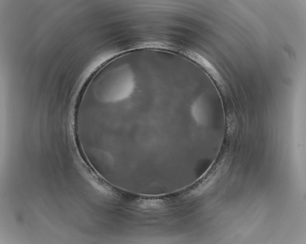 X0000112011043200908031303