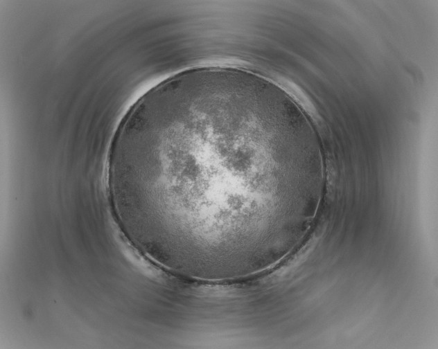 X0000112011044200908031303