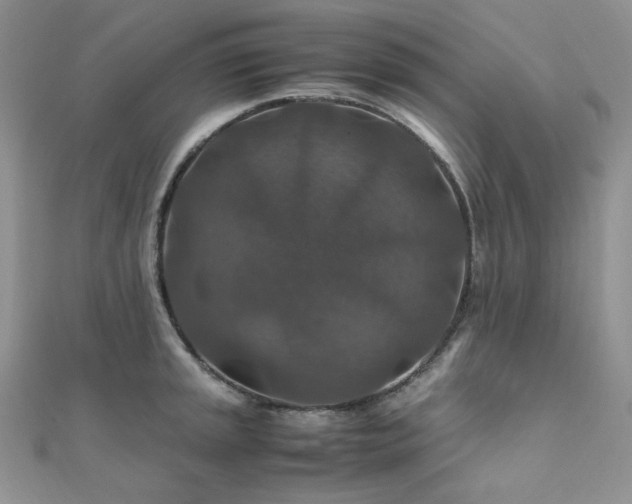 X0000112011045200908031303