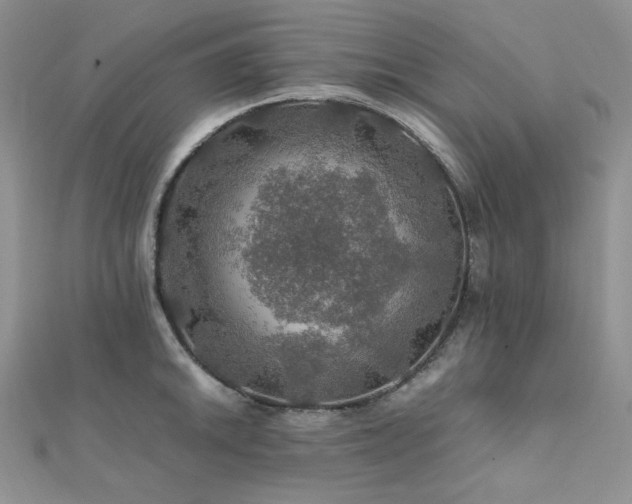 X0000112011046200908031303