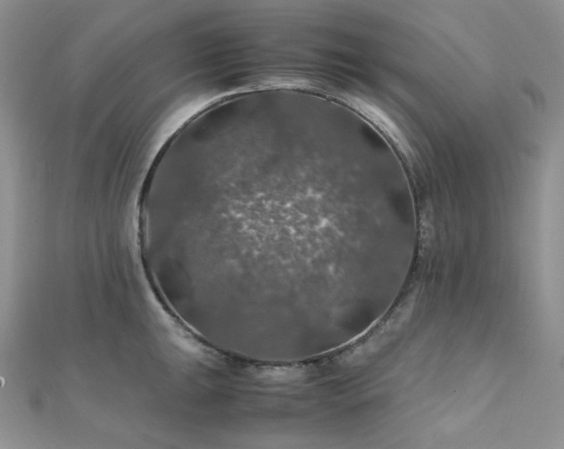 X0000112011047200908031303