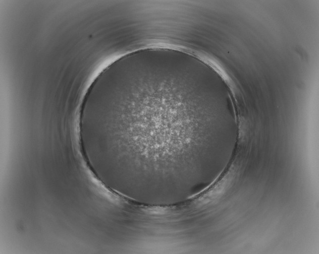 X0000112011048200908031303