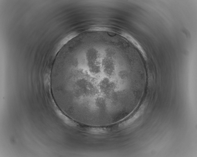 X0000112011049200908031303