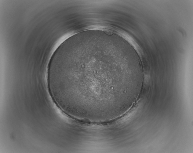 X0000112011050200908031303