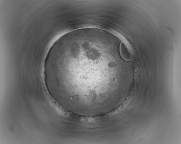 X0000112011051200908031303