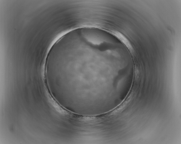 X0000112011052200908031303