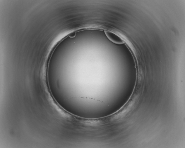 X0000112011053200908031303