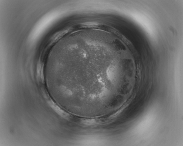 X0000112011054200908031303