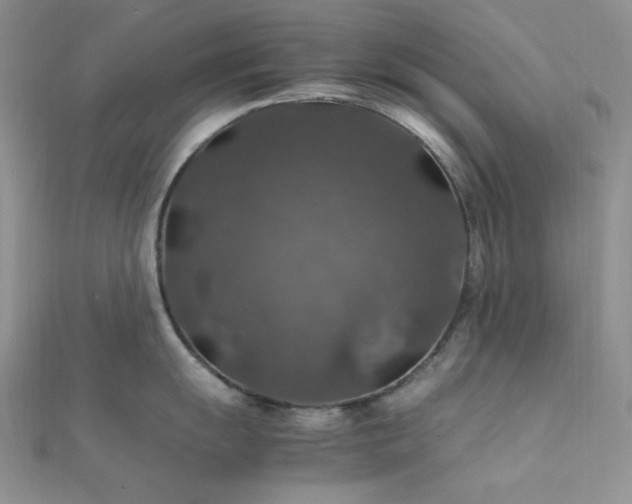 X0000112011055200908031303