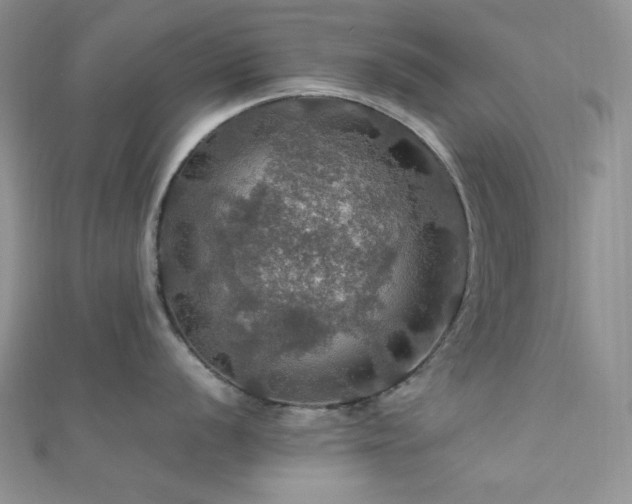 X0000112011056200908031303