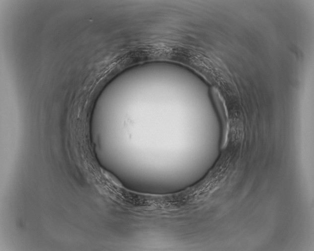 X0000112011057200908031302