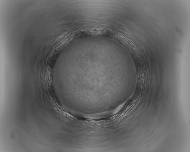 X0000112011058200908031302