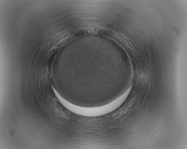 X0000112011060200908031302