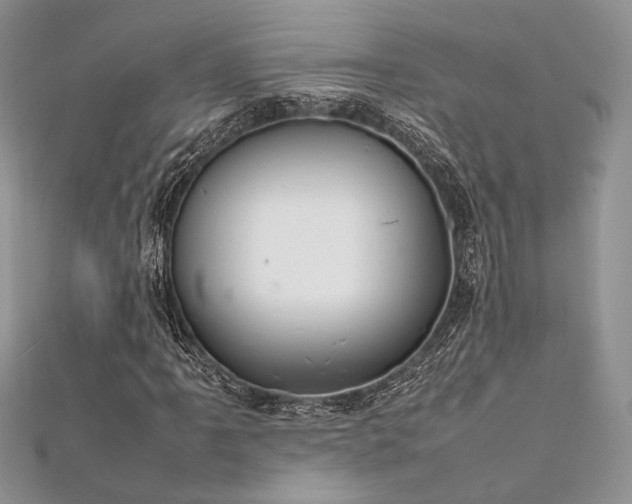 X0000112011061200908031302