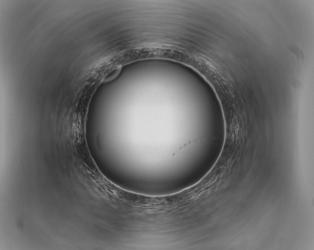 X0000112011062200908031302