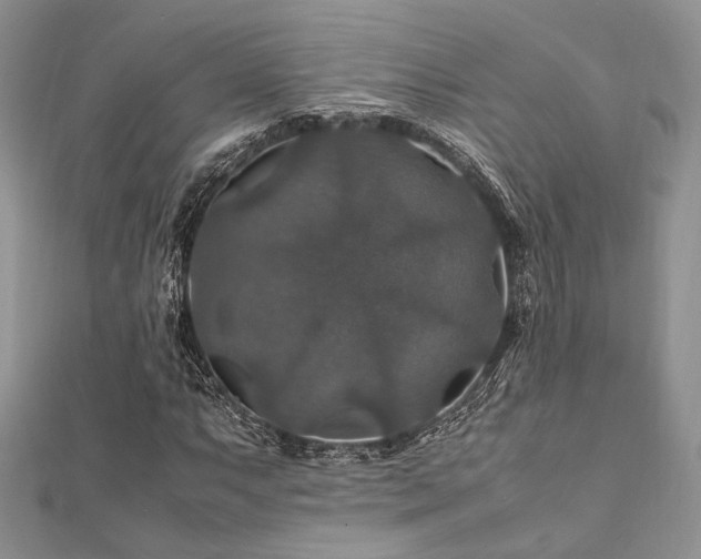 X0000112011063200908031302
