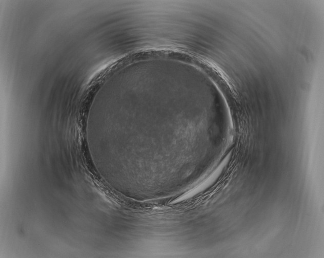 X0000112011064200908031302
