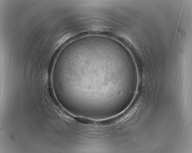 X0000112011065200908031302