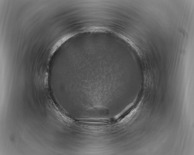 X0000112011066200908031302