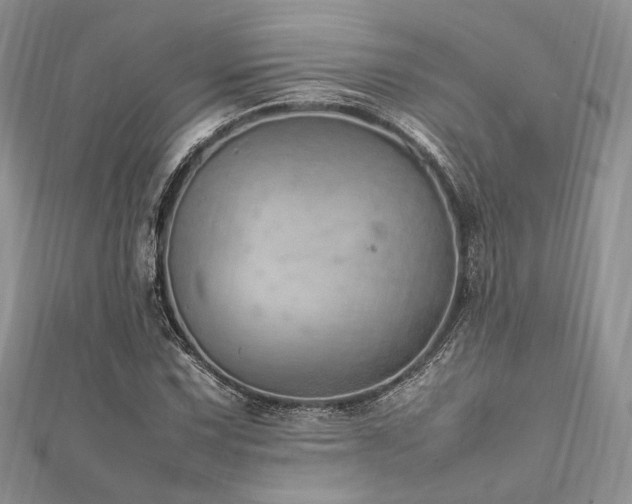 X0000112011067200908031302