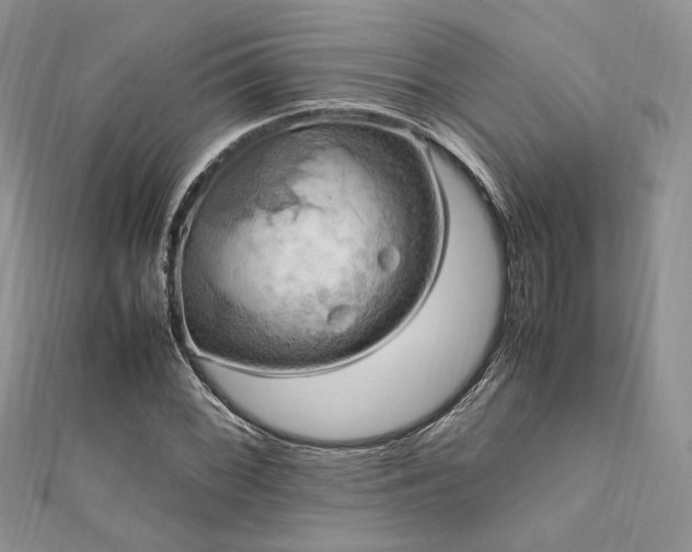 X0000112011068200908031302