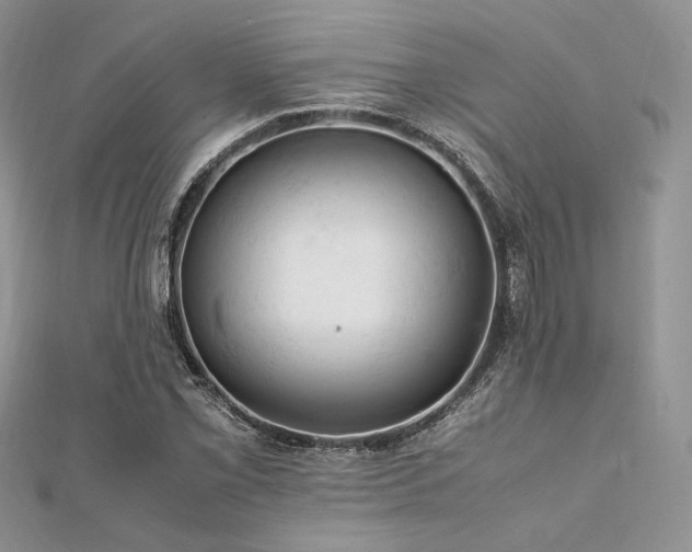 X0000112011069200908031302