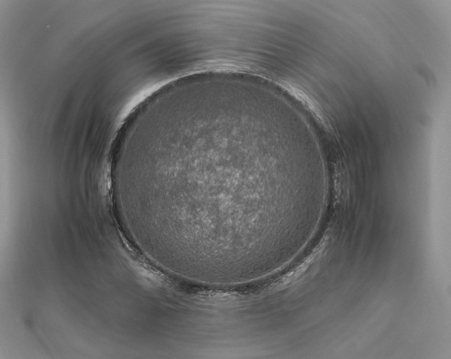 X0000112011070200908031302