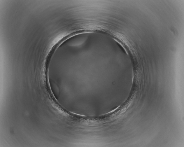 X0000112011071200908031302
