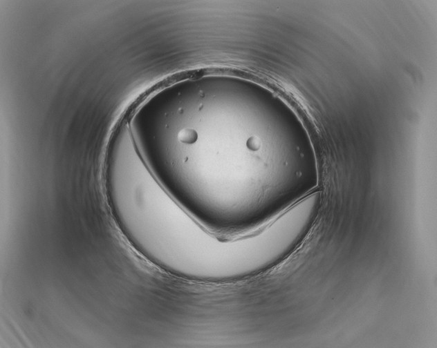 X0000112011072200908031302