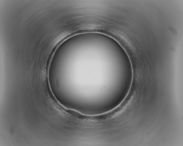 X0000112011073200908031302