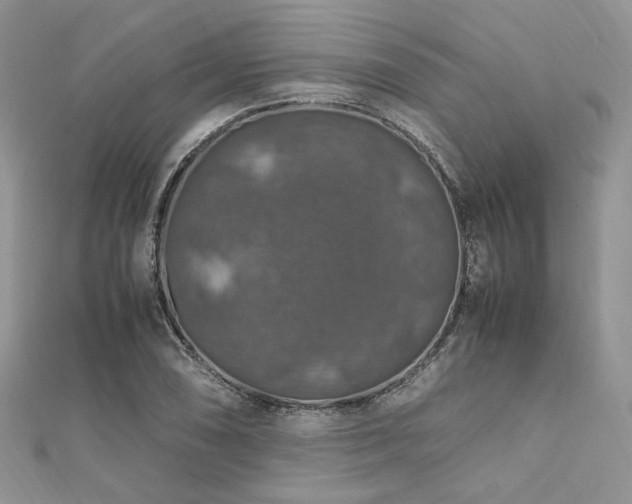 X0000112011074200908031302