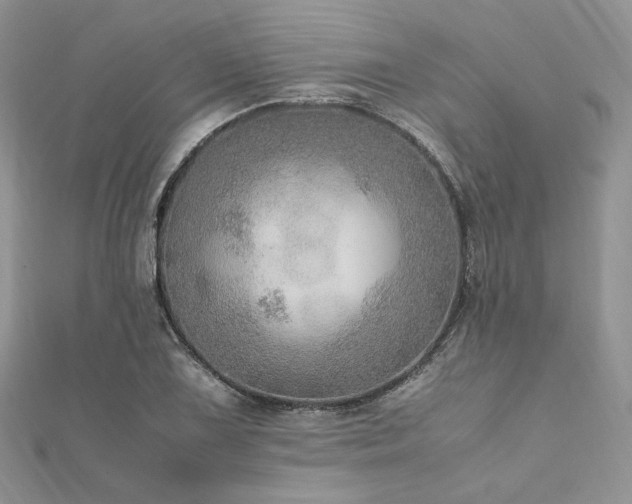 X0000112011075200908031302