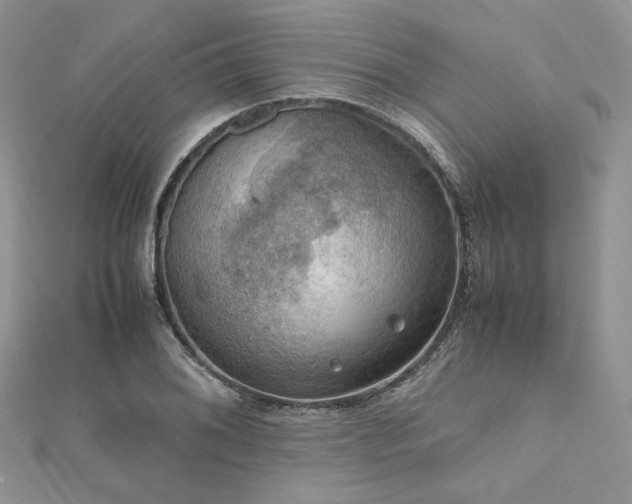 X0000112011076200908031302