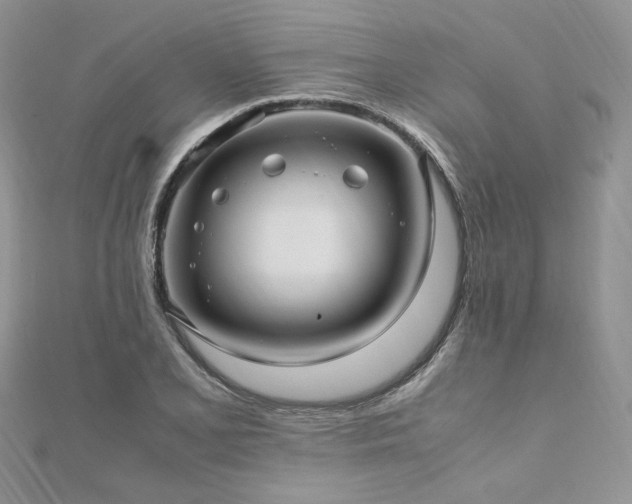X0000112011077200908031302