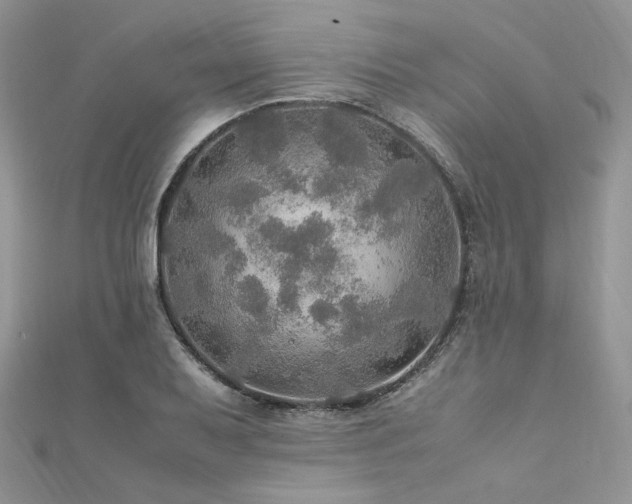 X0000112011079200908031302