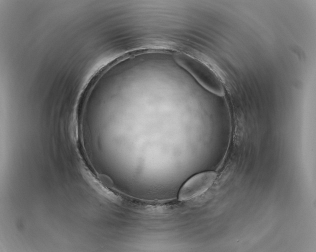 X0000112011080200908031302