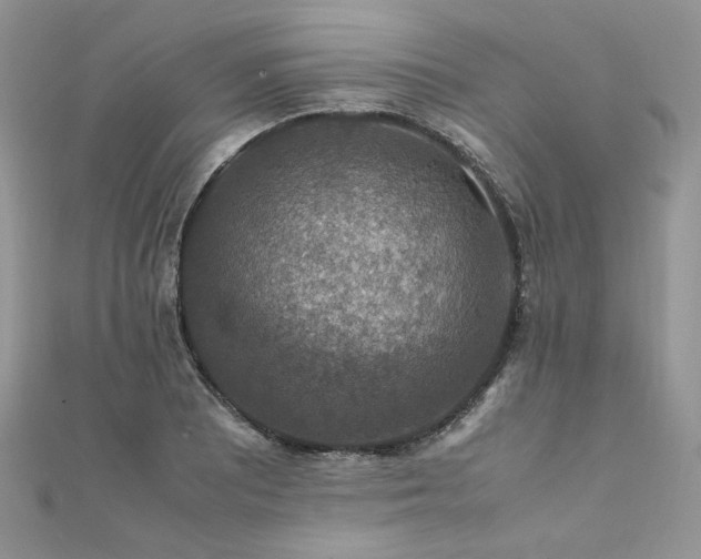 X0000112011081200908031302