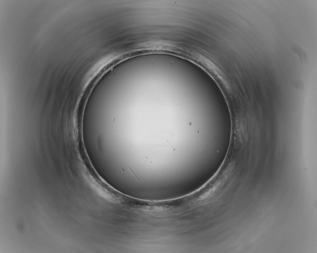 X0000112011082200908031302