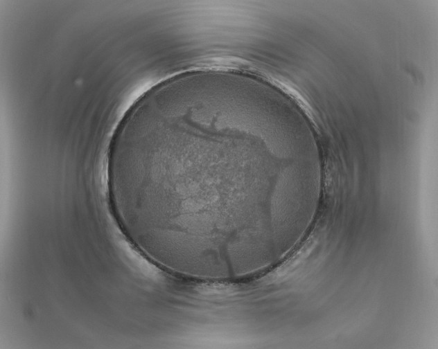 X0000112011083200908031302