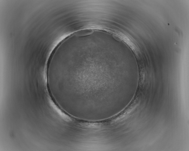 X0000112011084200908031302