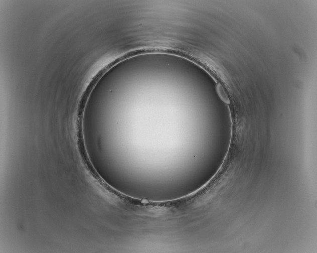 X0000112011085200908031302