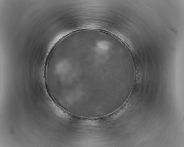 X0000112011086200908031302