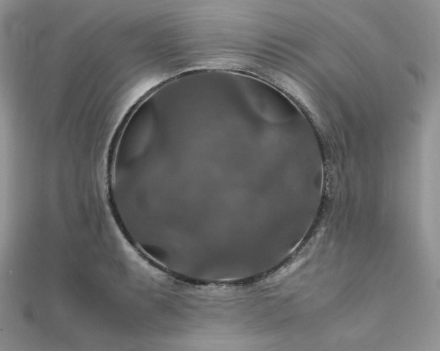 X0000112011087200908031302