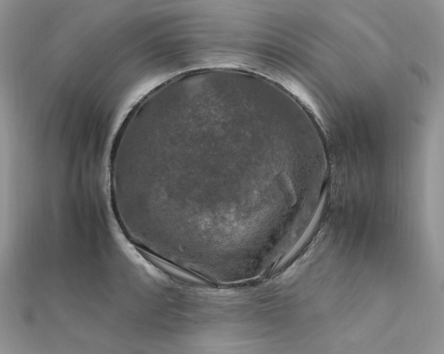X0000112011088200908031302