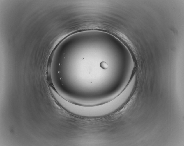 X0000112011089200908031302
