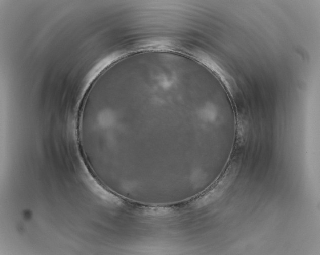 X0000112011090200908031302